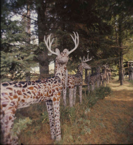 Eleven Deer, site plan #9. Photo: Robert Amft, c. 1960-64