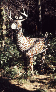 Eleven Deer, site plan #9. Photo: Roger Brown, c. 1970